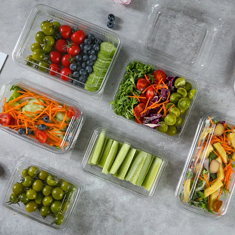 Disposable Salad Container