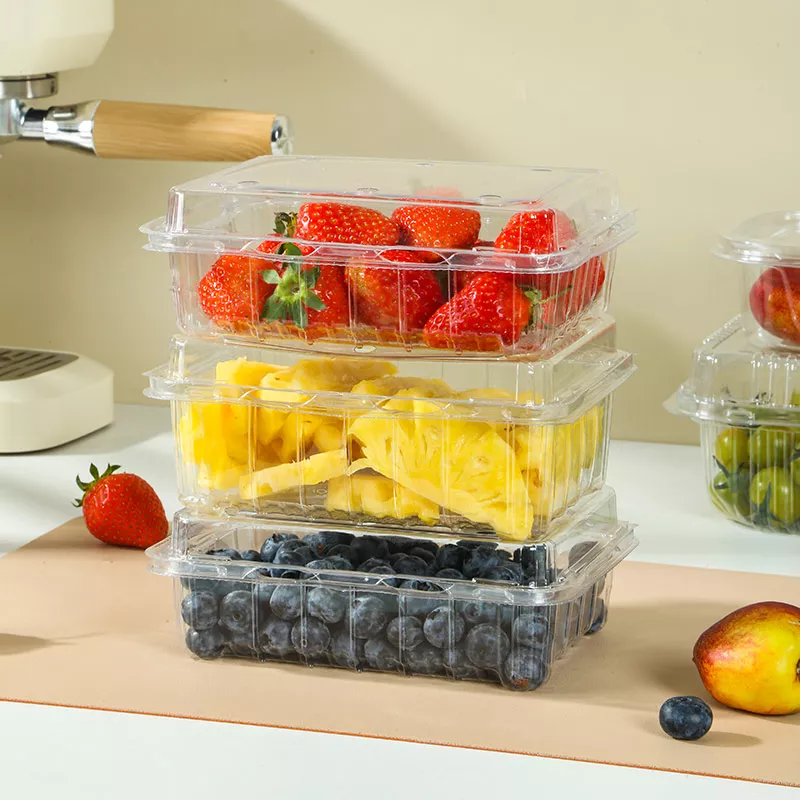 Disposable Fruit & Vegetable Container